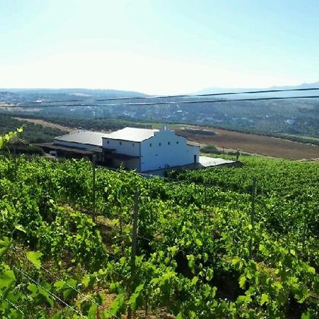 La Cimada Bodegas Morosanto 아파트 외부 사진