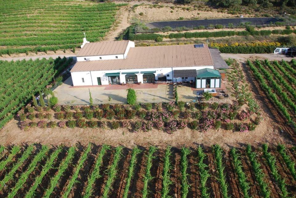 La Cimada Bodegas Morosanto 아파트 외부 사진