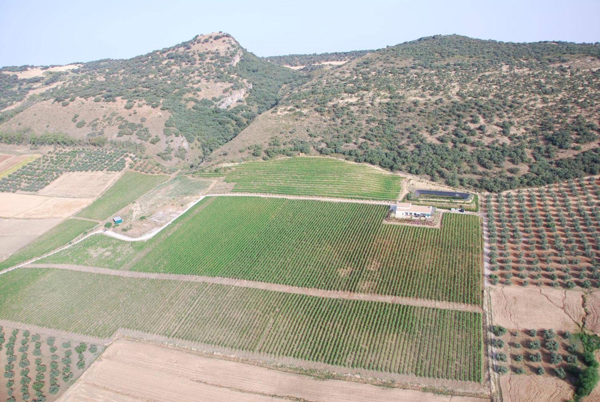 La Cimada Bodegas Morosanto 아파트 외부 사진