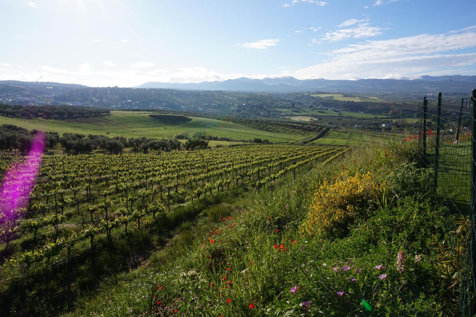 La Cimada Bodegas Morosanto 아파트 외부 사진